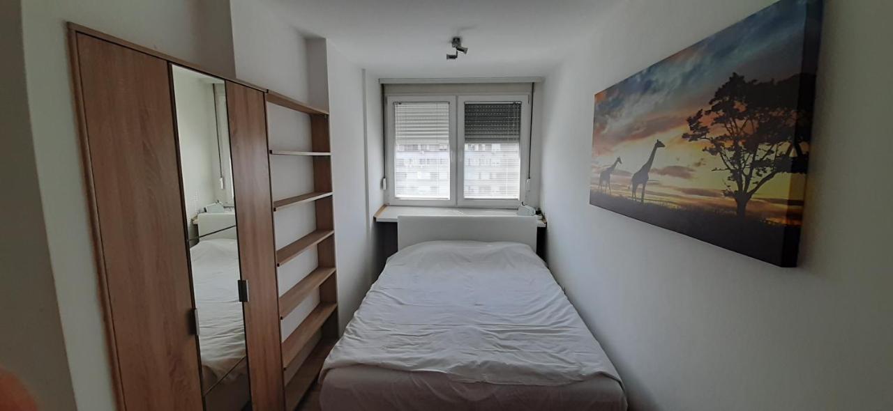 Apartman Sumice Belgrado Esterno foto